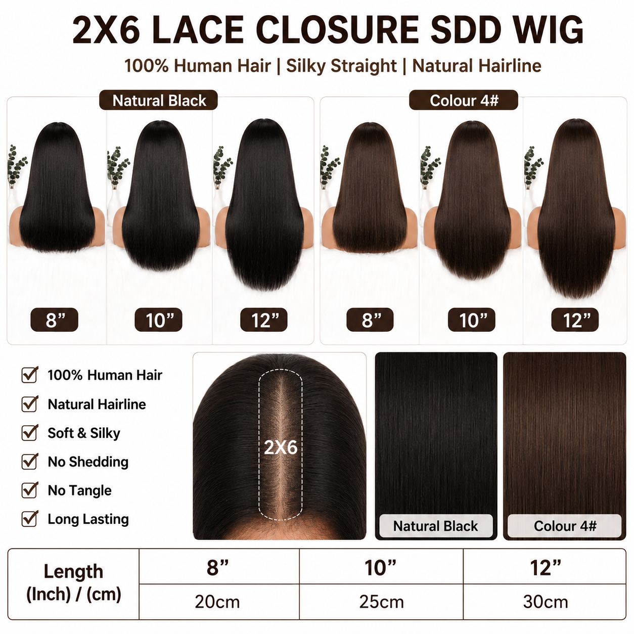 SDD Vietnamese 2x6 lace closure straight human hair wig in Natural Black - product image 8 | Perfect Queen South Africa